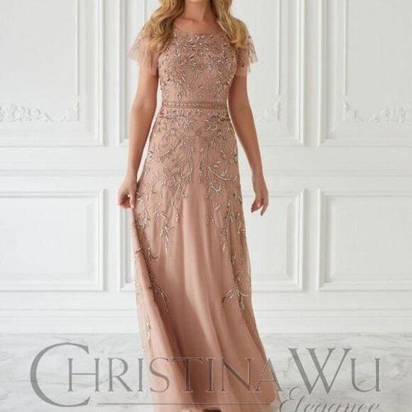 17928 Christina Wu Mother's or Evening Gown - Picture 4 of 4
